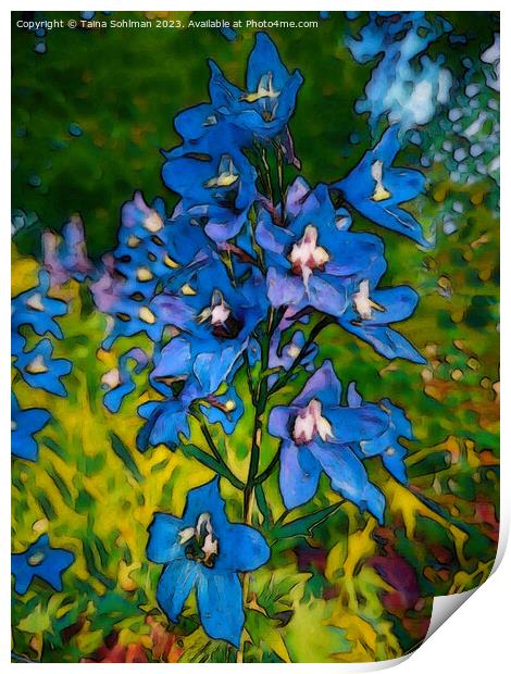 Blue Delphinium Flowers  Print by Taina Sohlman
