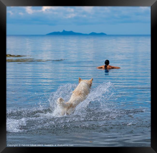'Canine Joy: Seaside Frolic' Framed Print by Fabrice Jolivet