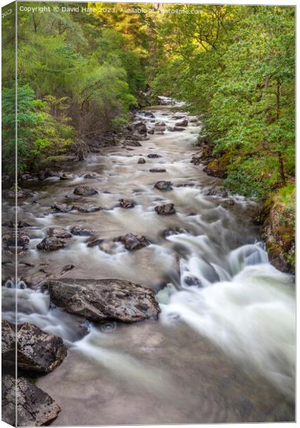 Small Welsh Rapids Canvas Print by David Hare
