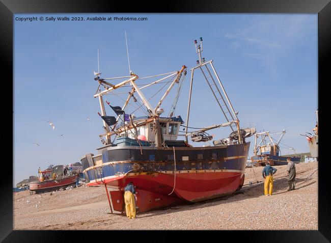 working boat just beached Framed Print by Sally Wallis