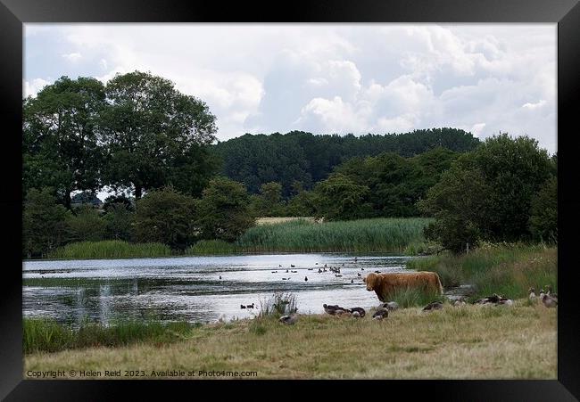 Outdoor English countryside scene  Framed Print by Helen Reid