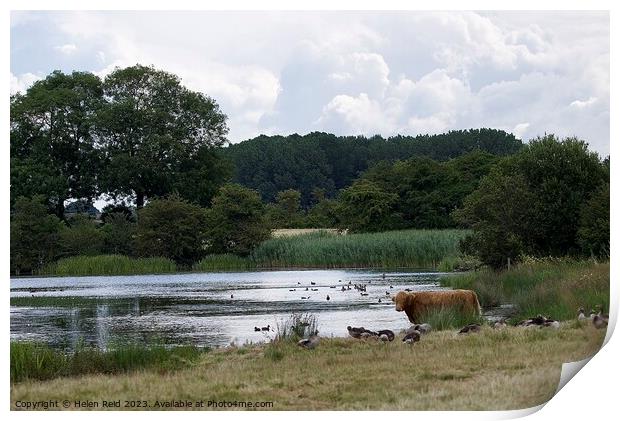 Outdoor English countryside scene  Print by Helen Reid