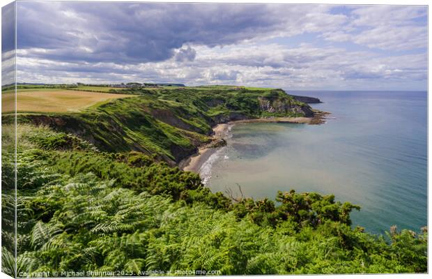 Coastal Panorama: Port Mulgrave Outlook Canvas Print by Michael Shannon