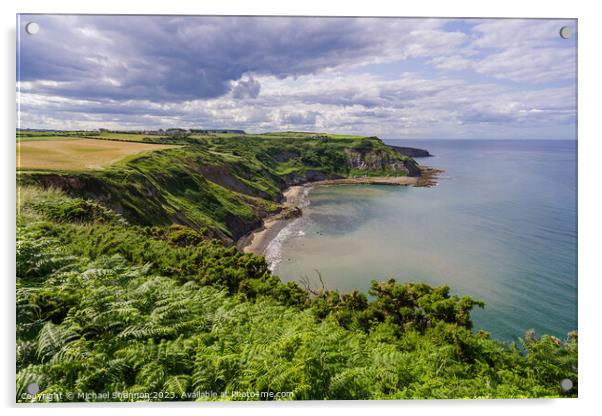 Coastal Panorama: Port Mulgrave Outlook Acrylic by Michael Shannon