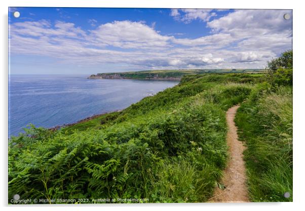 Coastal Charm: Cleveland Way - view towards Kettle Acrylic by Michael Shannon