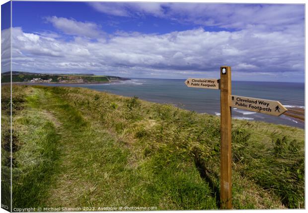 Breath-taking View from Kettleness Overlooking Run Canvas Print by Michael Shannon