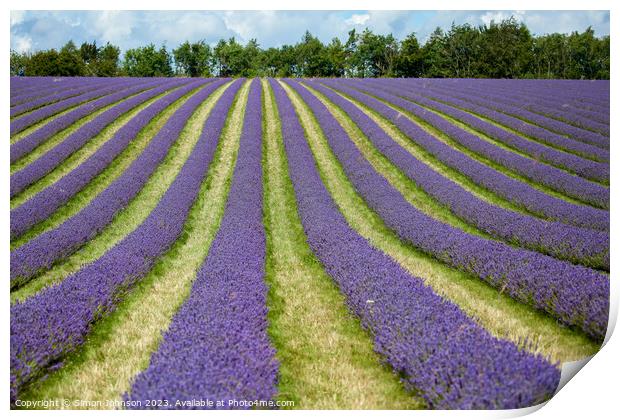 Outdoor field Print by Simon Johnson