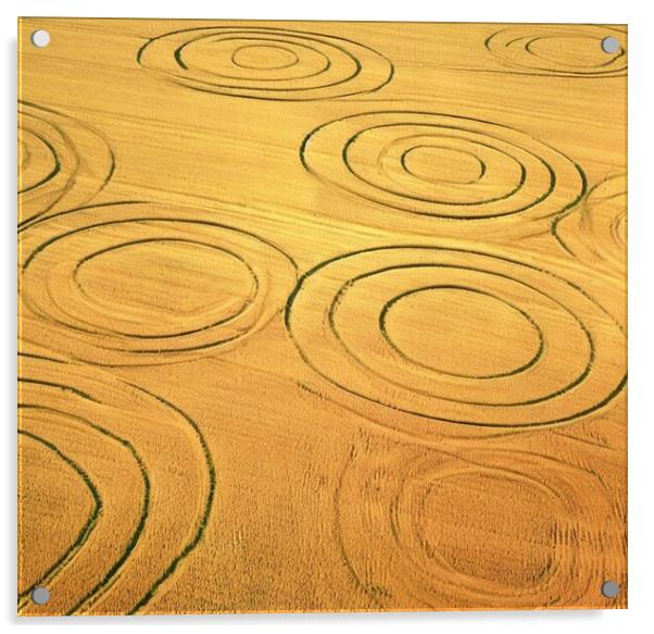 Crop circles in Scotland  Acrylic by Paddy 