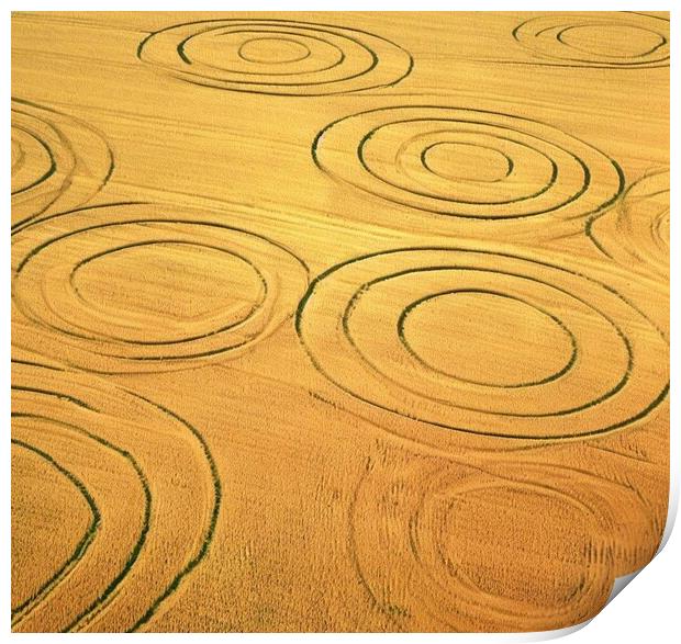 Crop circles in Scotland  Print by Paddy 