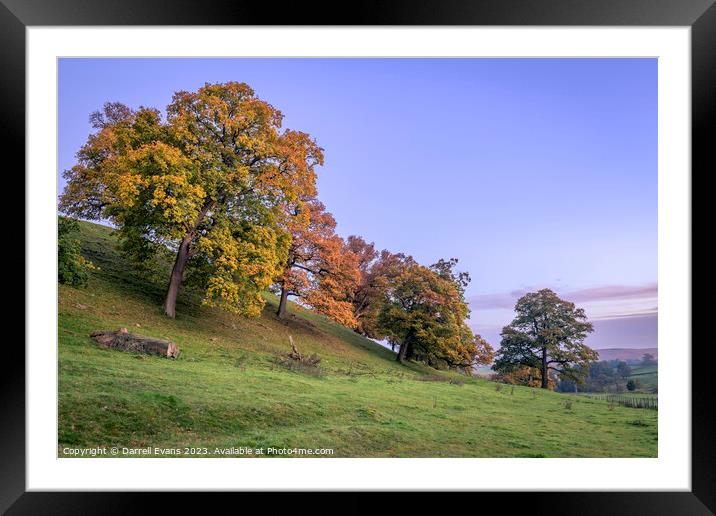 Coming of Fall Framed Mounted Print by Darrell Evans