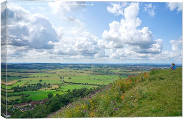 Admiring The Somerset Levels Canvas Print by Alison Chambers