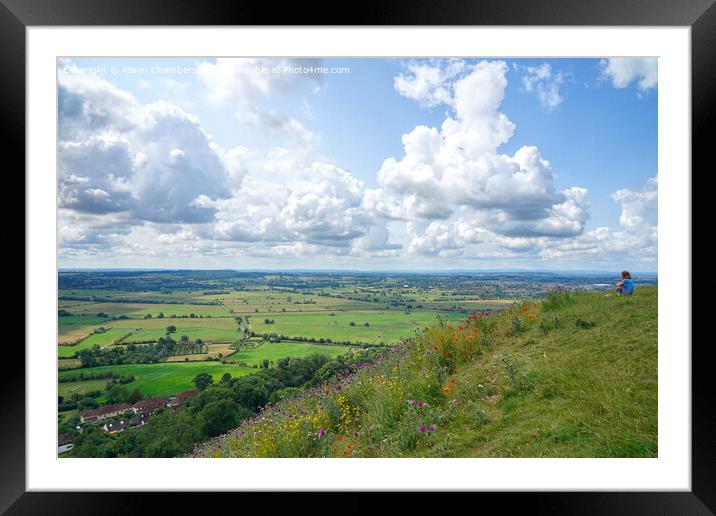 Admiring The Somerset Levels Framed Mounted Print by Alison Chambers