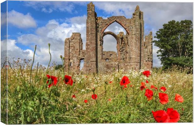 Lindisfarne Priory in the morning sun  Canvas Print by Tony lopez