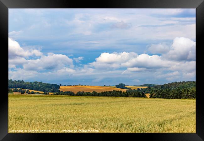 Wheat field on an agriculture farm Framed Print by Sergey Fedoskin