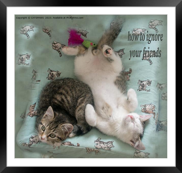 HOW TO IGNORE YOUR FRIENDS Framed Mounted Print by CATSPAWS 
