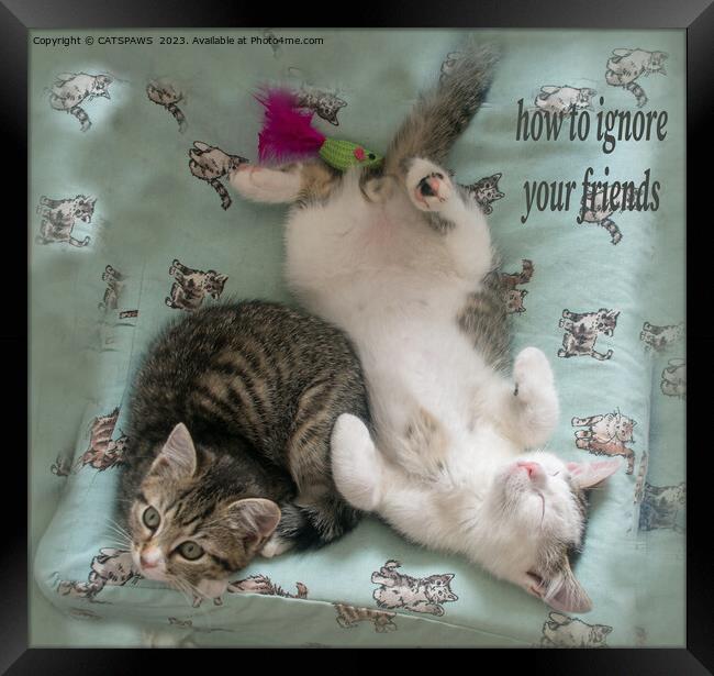 HOW TO IGNORE YOUR FRIENDS Framed Print by CATSPAWS 