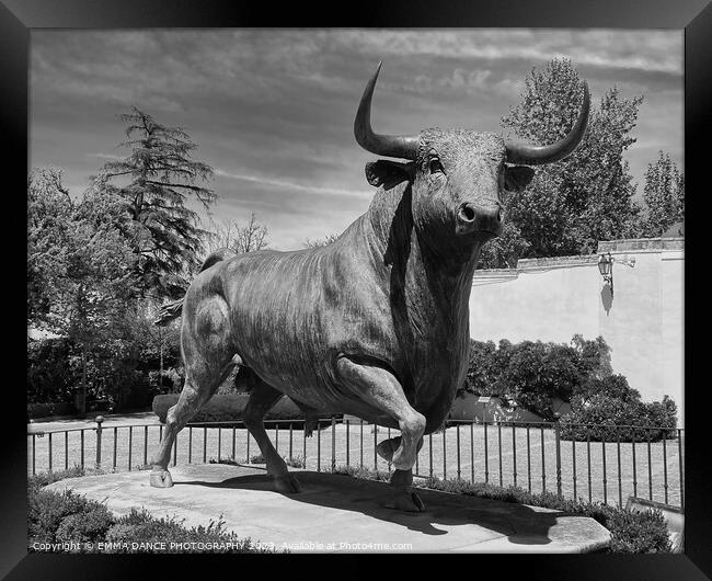 Monumento al Toro, Ronda Framed Print by EMMA DANCE PHOTOGRAPHY