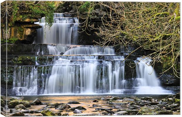 Cotter Force, Wensleydale Canvas Print by Jason Connolly