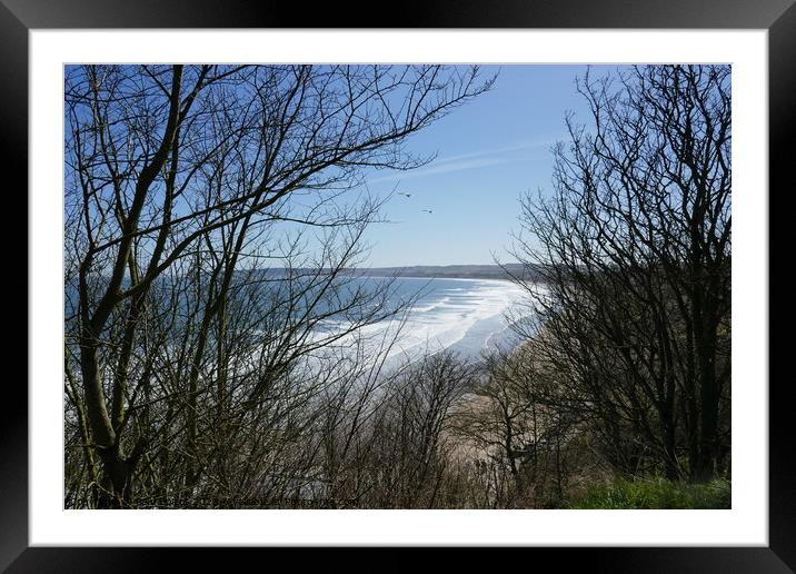 Sea view through trees, Filey  Framed Mounted Print by Paul Boizot
