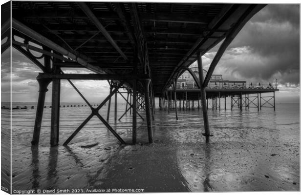 Under the pier Canvas Print by David Smith