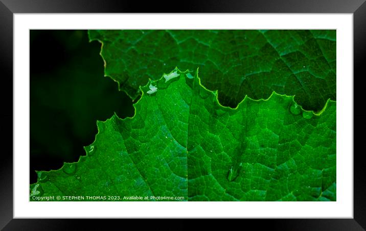 Drops At The Edge Framed Mounted Print by STEPHEN THOMAS
