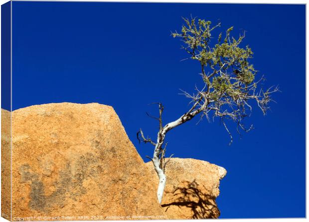 Lone tree, granite rocks, Spitzkoppe, Namibia, Africa Canvas Print by Geraint Tellem ARPS
