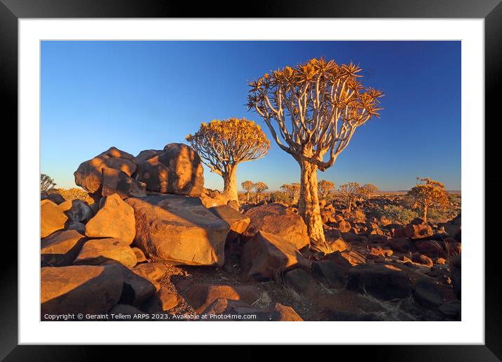 Quiver Tree Forest, Keetmanshoop, Southern Namibia, Africa Framed Mounted Print by Geraint Tellem ARPS