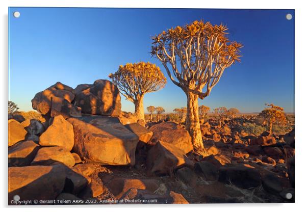 Quiver Tree Forest, Keetmanshoop, Southern Namibia, Africa Acrylic by Geraint Tellem ARPS