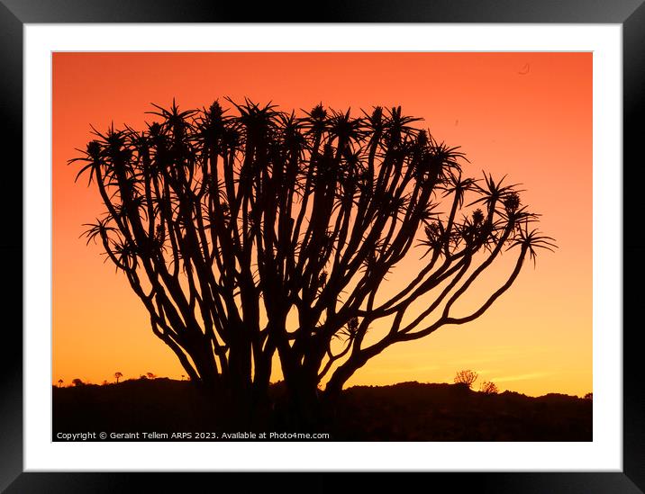 Twilight, Quiver Tree Forest, Keetmanshoop, Southern Namibia Framed Mounted Print by Geraint Tellem ARPS
