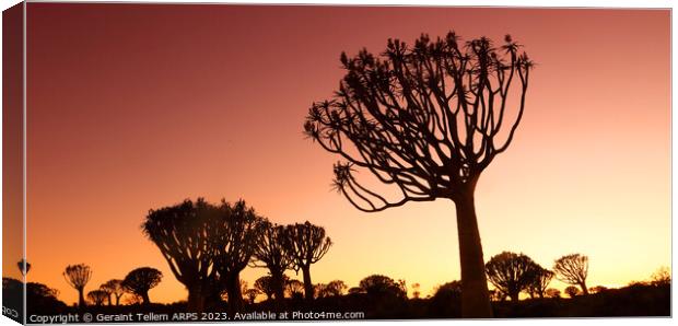 Twilight, Quiver Tree Forest, Keetmanshoop, Southern Namibia Canvas Print by Geraint Tellem ARPS