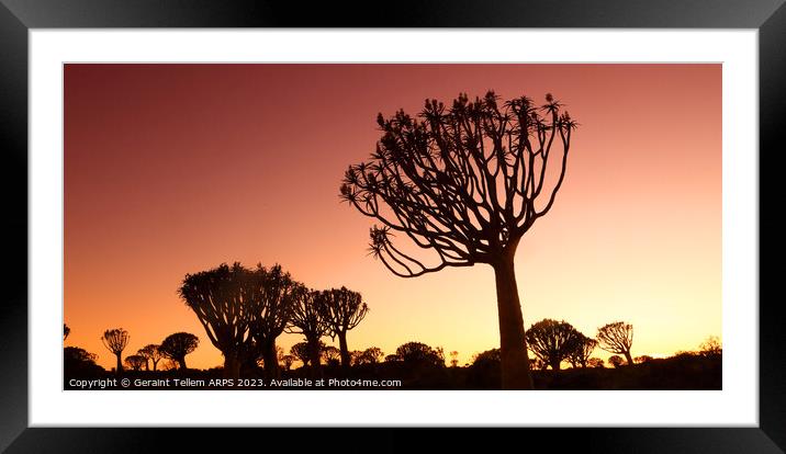 Twilight, Quiver Tree Forest, Keetmanshoop, Southern Namibia Framed Mounted Print by Geraint Tellem ARPS
