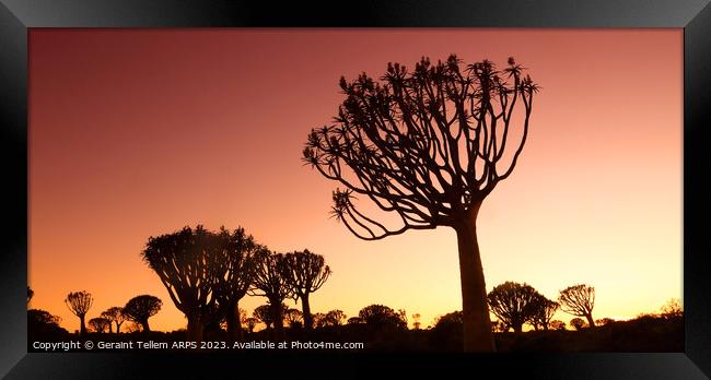 Twilight, Quiver Tree Forest, Keetmanshoop, Southern Namibia Framed Print by Geraint Tellem ARPS