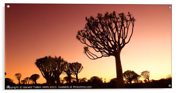 Twilight, Quiver Tree Forest, Keetmanshoop, Southern Namibia Acrylic by Geraint Tellem ARPS
