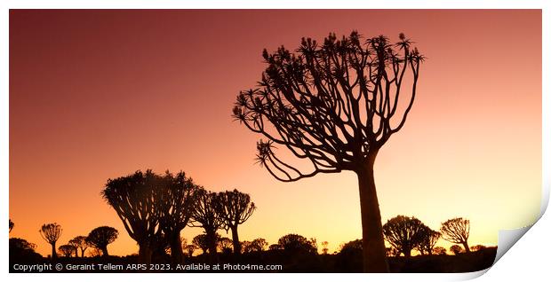 Twilight, Quiver Tree Forest, Keetmanshoop, Southern Namibia Print by Geraint Tellem ARPS