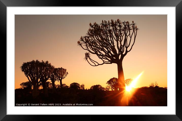 Sunset, Quiver Tree Forest, Keetmanshoop, Southern Namibia Framed Mounted Print by Geraint Tellem ARPS