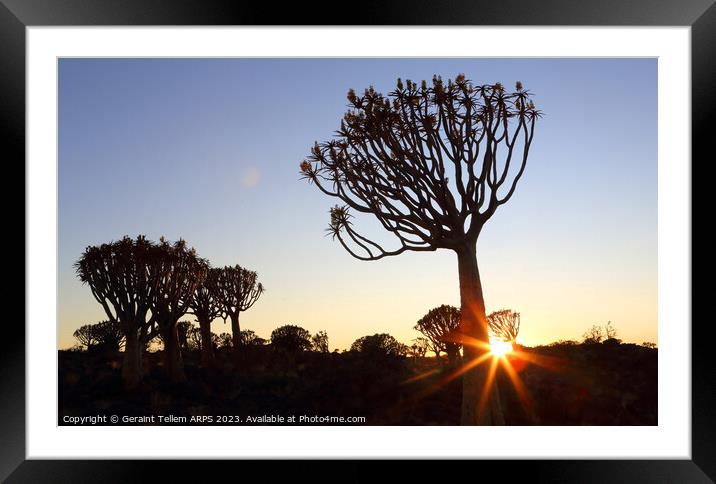 Sunset, Quiver Tree Forest, Keetmanshoop, Southern Namibia Framed Mounted Print by Geraint Tellem ARPS