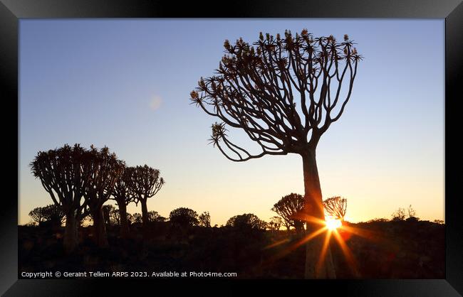 Sunset, Quiver Tree Forest, Keetmanshoop, Southern Namibia Framed Print by Geraint Tellem ARPS