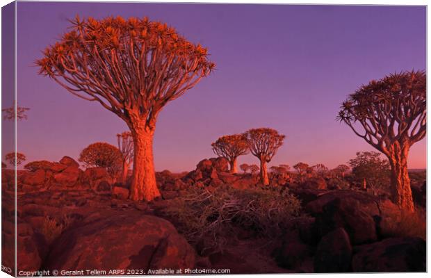 Quiver Tree Forest, Keetmanshoop, Southern Namibia Canvas Print by Geraint Tellem ARPS