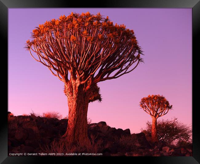 Quiver Tree Forest, Keetmanshoop, Southern Namibia Framed Print by Geraint Tellem ARPS