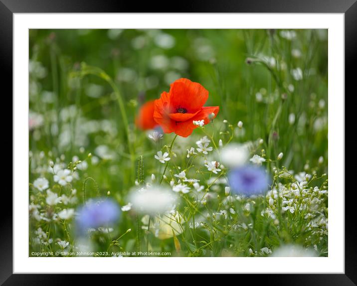 Poppies  Framed Mounted Print by Simon Johnson