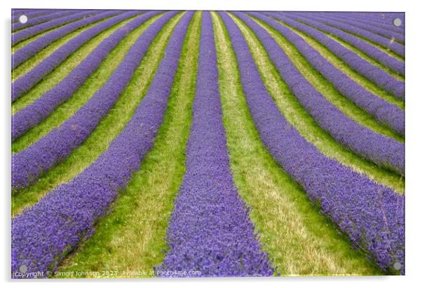 Lavender lines Acrylic by Simon Johnson