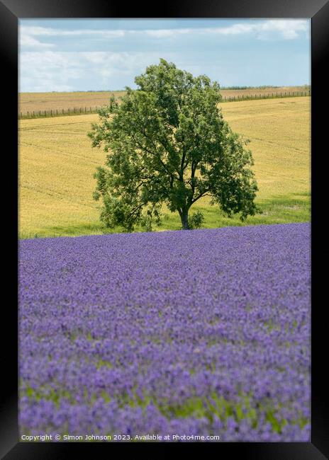 Outdoor field Framed Print by Simon Johnson