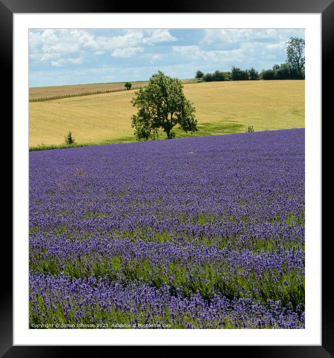 Tree and lavender  Framed Mounted Print by Simon Johnson