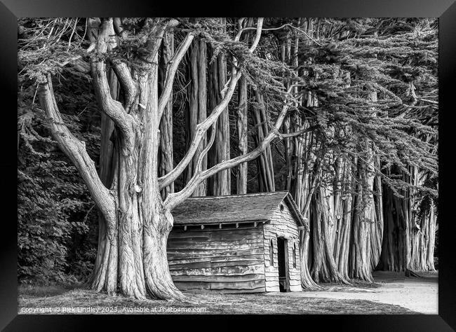 The Tree House Framed Print by Rick Lindley
