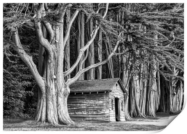 The Tree House Print by Rick Lindley