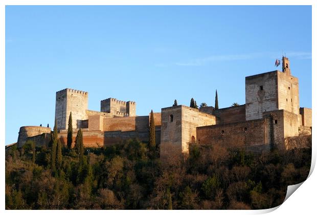 Alhambra from Albaicin, Granada Print by Paul Boizot