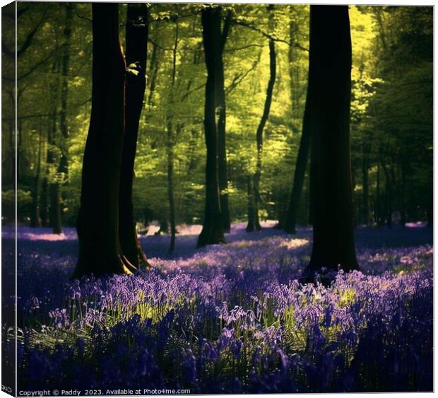 Blue bells coming out in the forest,  Canvas Print by Paddy 