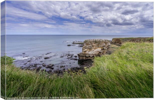 Enchanting Clifftop Scenery at Jack Rock Canvas Print by Michael Shannon