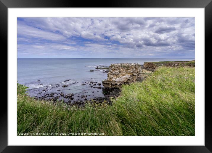 Enchanting Clifftop Scenery at Jack Rock Framed Mounted Print by Michael Shannon