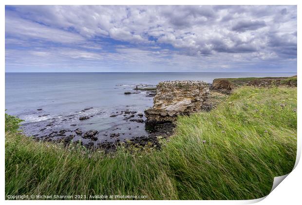 Enchanting Clifftop Scenery at Jack Rock Print by Michael Shannon